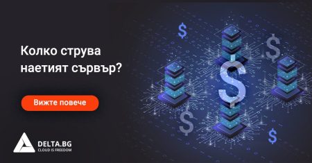Колко струва наетият сървър?