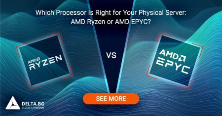 Which Processor Is Right for Your Physical Server: AMD Ryzen or AMD EPYC?